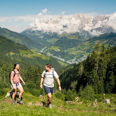 Hotel Lohningerhof 4*